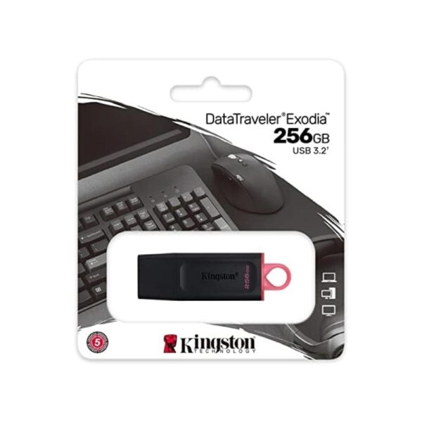 KINGSTON DTX 256GB USB 3.2 PENDRIVE